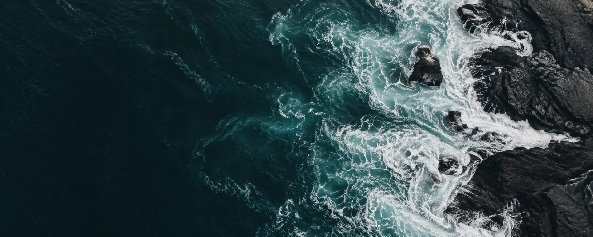 White ocean foam meeting a dark rocky coastline